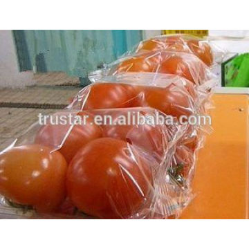 pillow type sachet packaging machine